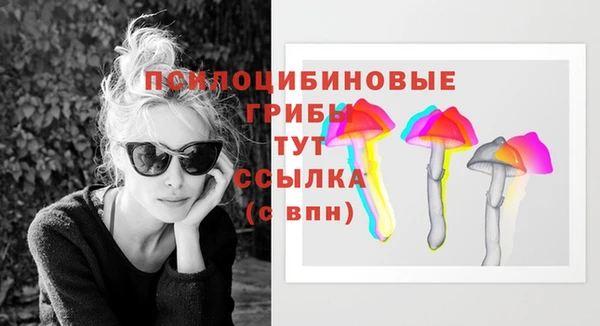 бутират Алзамай
