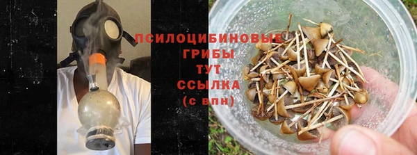 стафф Алексеевка