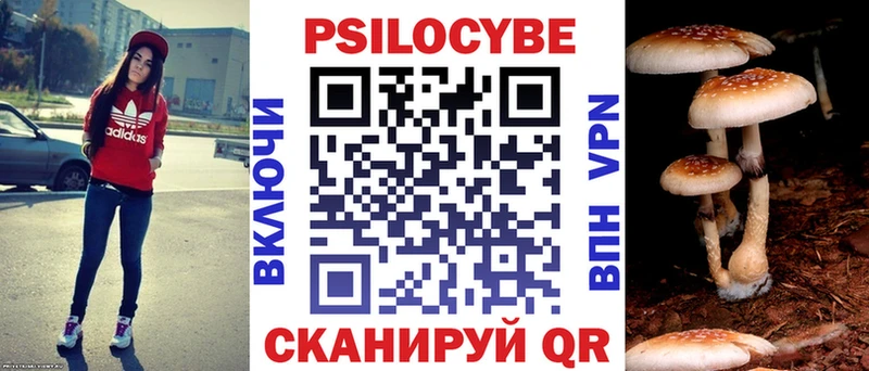 где продают наркотики  Тула  Псилоцибиновые грибы ЛСД 